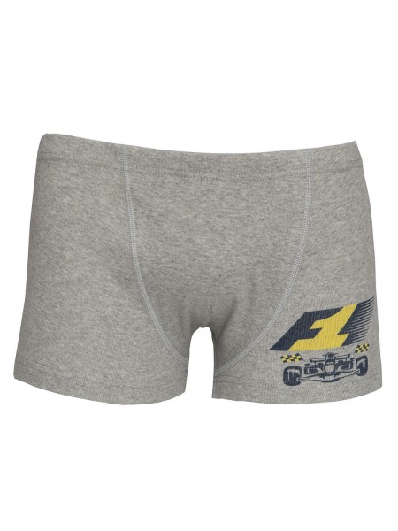 Nina Club Παιδικό Μποξεράκι Βαμβακερό για Αγόρι #315 Γκρι