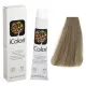 Kepro iColori Cenere Βαφή Μαλλιών 90ml (ΞΑΝΘΟ ΑΝΟΙΧΤΟ ΣΑΝΤΡΕ) - No8.1