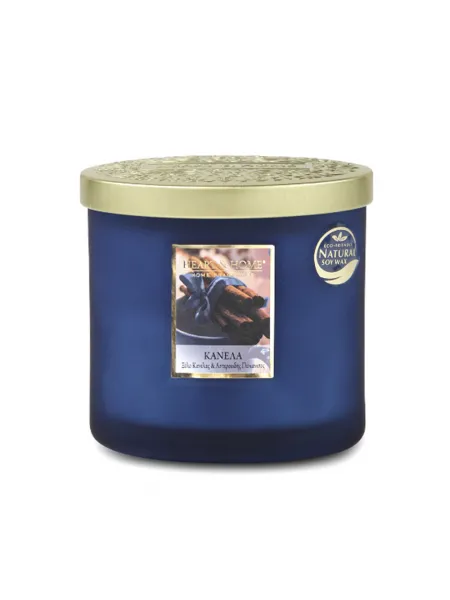 Heart and Home Άρωματικό Κερί με Διπλό Φυτίλι 40h 230gr #Κανέλα