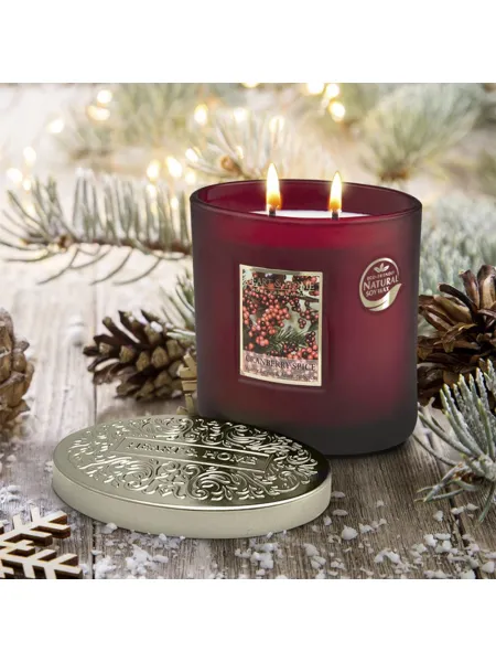 Heart and Home Άρωματικό Κερί με Διπλό Φυτίλι 40h 230gr #Πικάντικο Κράνμπερι