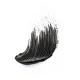 Essence Lash Without Limits Extreme Lengthening and Volume Mascara 13ml #01 Ultra Black