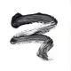 Essence Call Me Queen Dramatic False Lash Effect Mascara 11.5ml #Black Essence Call Me Queen Dramatic False Lash Effect Mascara 11.5ml #Black