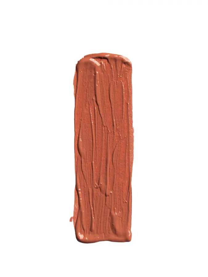 Elixir Forever Lip Mat Lipstick 9gr - Υγρό Ματ Ανεξίτηλο Κραγιόν - #205