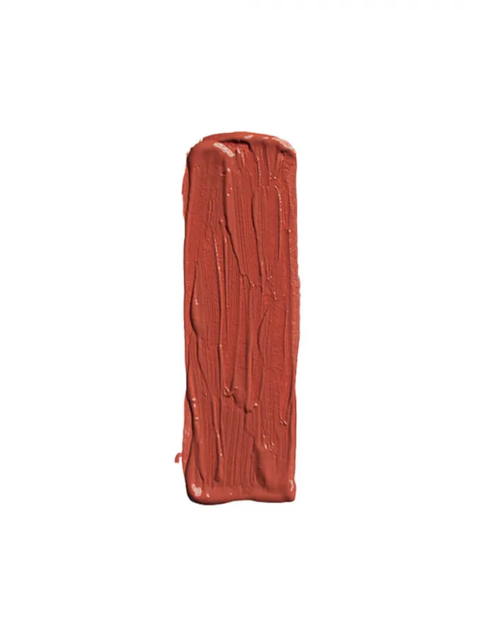 Elixir Forever Lip Mat Lipstick 9gr - Υγρό Ματ Ανεξίτηλο Κραγιόν - #209