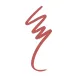 Golden Rose Dream Lips Pencil – #540