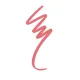 Golden Rose Dream Lips Pencil – #541