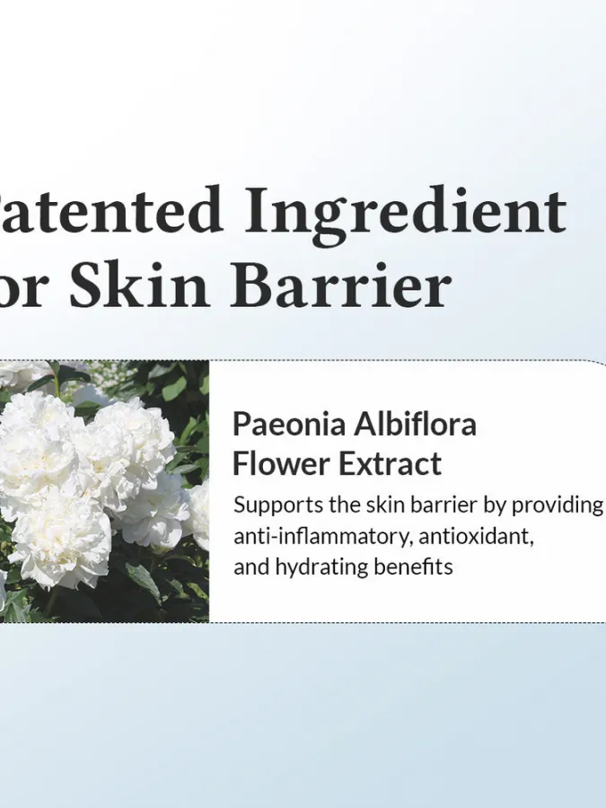 Dr.Althea 147 Barrier Cream 50ml – Κρέμα Προσώπου για Ενίσχυση Επιδερμιδικού Φραγμού, Ενυδάτωση & Θρέψη