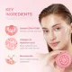 Medicube PDRN Pink Collagen Capsule Cream 55g – Κρέμα Προσώπου με PDRN & Κολλαγόνο για Σύσφιξη, Λάμψη & Ενυδάτωση Medicube PDRN Pink Collagen Capsule Cream 55g – Κρέμα Προσώπου με PDRN & Κολλαγόνο για Σύσφιξη, Λάμψη & Ενυδάτωση